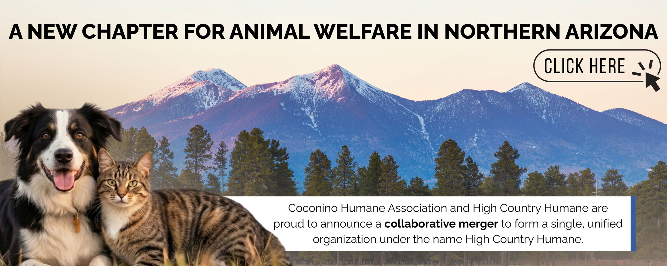 A New Chapter for Animal Welfare in Northern Arizona